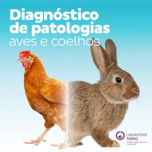 Novo Serviço Diagnóstico de Patologias dedicado aos Setores Avícola e Cunículo